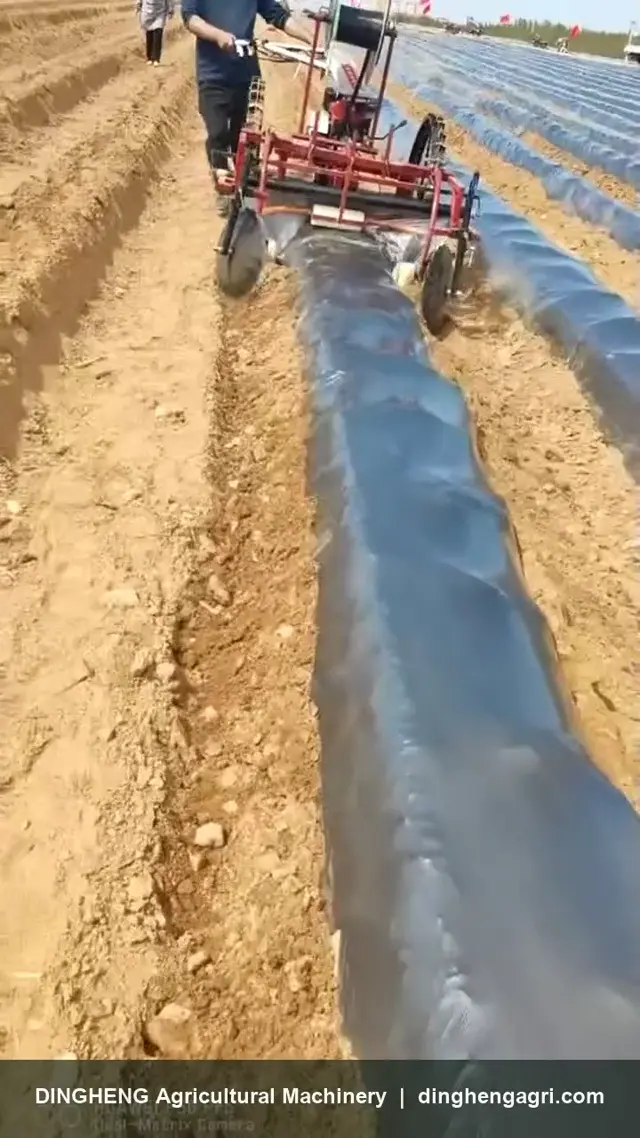 Self-propelled machine laying plastic mulch film